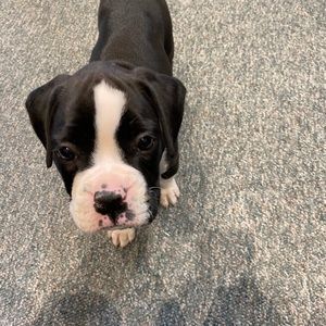 Meet your Posher, Gordana